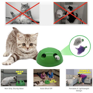 Interactive Motion Cat Toy